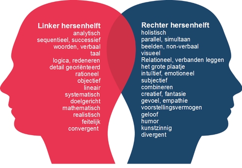 Hersenfuncties per hersenhelft